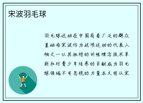 宋波羽毛球