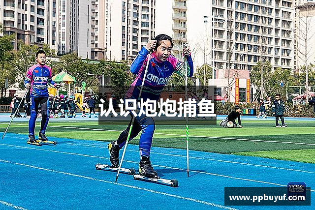 认识炮炮捕鱼